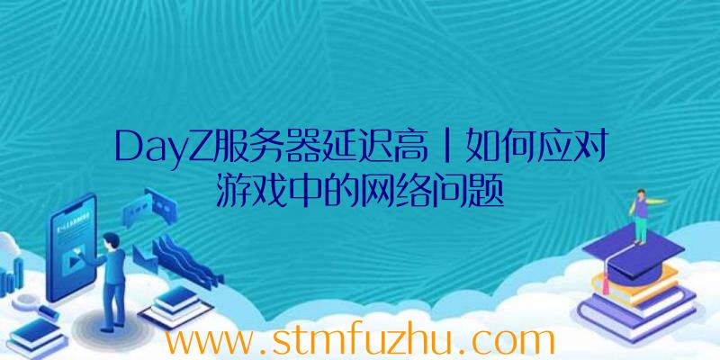 DayZ服务器延迟高|如何应对游戏中的网络问题